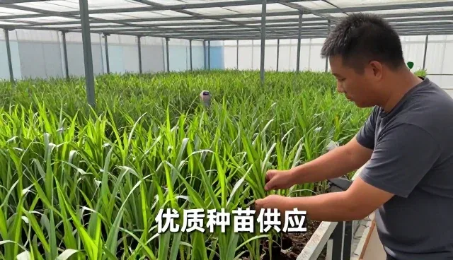 基地合作有哪些应用方式?
